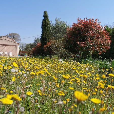Maison De Vacances L'Hote Champetre Campagne Arlesienne Εξωτερικό φωτογραφία
